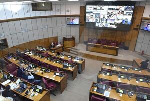 Senado aprueba aportes de ¡4 y de 1 guaraní! para municipios de Itapúa y Misiones  - Nacionales - ABC Color