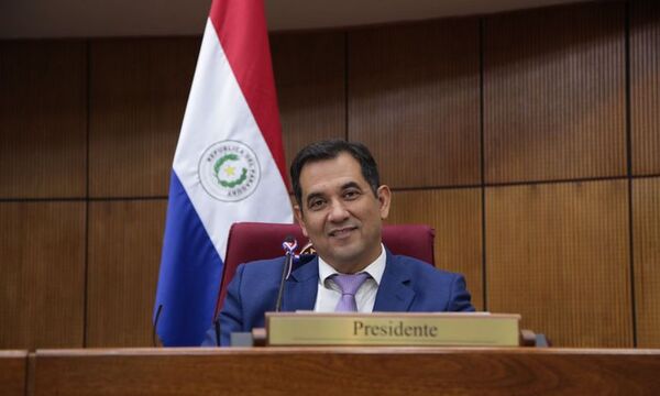Comisión del Senado bajo control cartista convoca de golpe a seis ternados al TSJE - Política - ABC Color