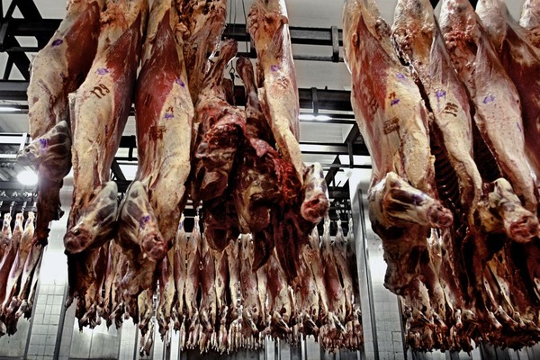Ingresaron a China 196 mil toneladas de carne vacuna en abril