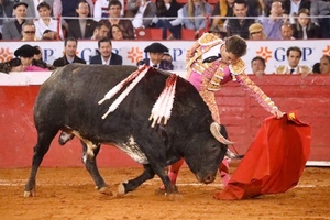 Diario HOY | Juez suspende provisionalmente corridas de toros en mayor plaza de México