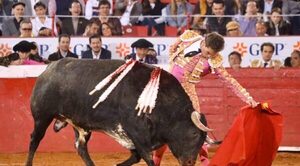 Juez suspende provisionalmente corridas de toros en mayor plaza de México