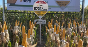 SOMAX Agro con 13 años en el rubro agrícola