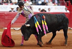 Juez ordena suspender provisionalmente las corridas de toros en Plaza México - Mundo - ABC Color
