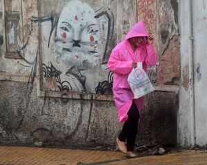 Lluvias y tormentas persistirán durante este fin de semana - Nacionales - ABC Color
