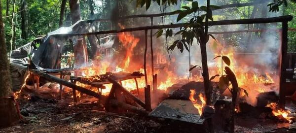 Senad saca de circulación más de 11 toneladas de marihuana en la colonia Estrella - Radio Imperio