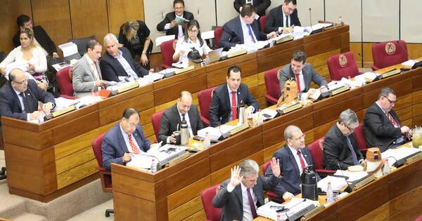 La Nación / Senado definirá la próxima semana candidatos para el TSJE y la mesa directiva