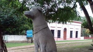 Hicieron estatua en honor a Chuco, un perro callejero de Humaitá