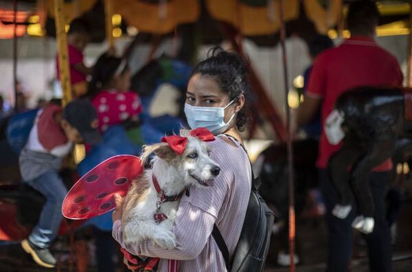 En Nicaragua una escuela ayuda a perros con problemas de socialización - Mascotas - ABC Color