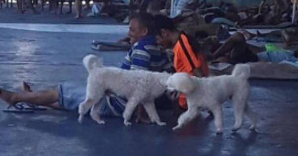 La Nación / Amenaza de amotinamiento en Tacumbú tras la recaptura de un miembro del Clan Rotela