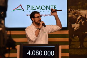 Piemonte remata hoy lunes 600 vacunos de invernada por pantalla