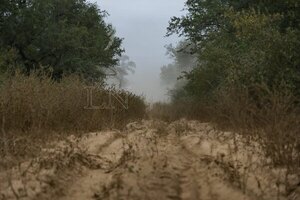 TCR 2022: El infierno verde aguarda al rally