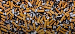 El impacto del tabaco en el medio ambiente es “devastador”, advierte la OMS