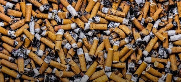 El impacto del tabaco en el medio ambiente es “devastador”, advierte la OMS