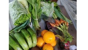 #SoyConsumidorResponsable: la campaña que invita a repensar la forma de consumir alimentos
