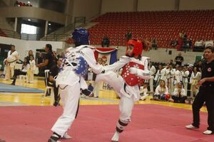Taekwondo en la SND con exitosa jornada - Polideportivo - ABC Color