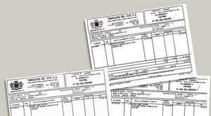 Exhiben facturas que “desnudan” circo de Seprelad