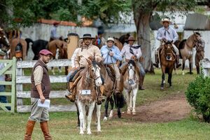 Expo Criollos exhibió alta genética