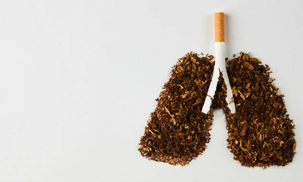 Día Mundial Sin Tabaco: un compromiso con la salud y el medio ambiente - OviedoPress