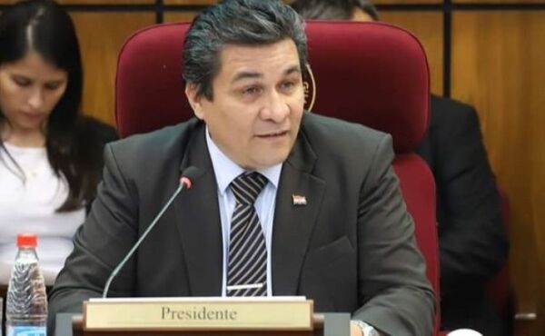 Lanzoni afirma que está en diálogo con varios sectores buscando presidir el Senado