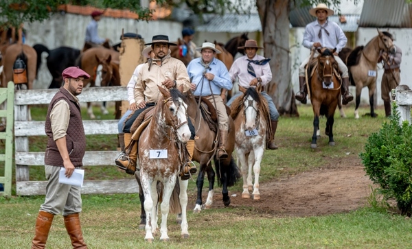 La Expo Criollos exhibió alta genética y propició buenos negocios