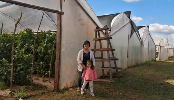 Emprendedora del distrito R.I 3 Corrales de Caaguazú cuenta con 25.000 plantas de locote