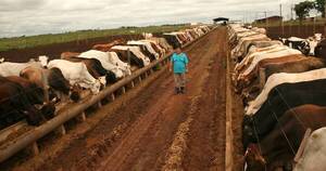 La Nación / Paraguay necesita mayor previsibilidad de precios de la carne, señala ARP
