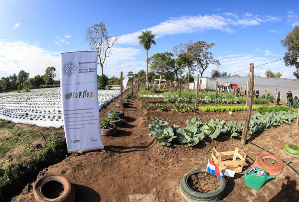 Programa Ñapu’ake habilita nuevo centro de producción y capacitación en la ciudad de Areguá - .::Agencia IP::.