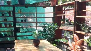 Una casa que se convirtió en arte: cada rincón está tallado en madera