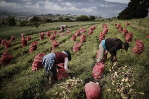 América busca posicionar a la agricultura en las discusiones del cambio climático - MarketData
