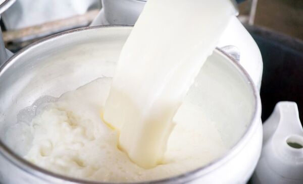 Venta de 152 millones de dólares - Día Mundial de la Leche 2022 - ABC Color
