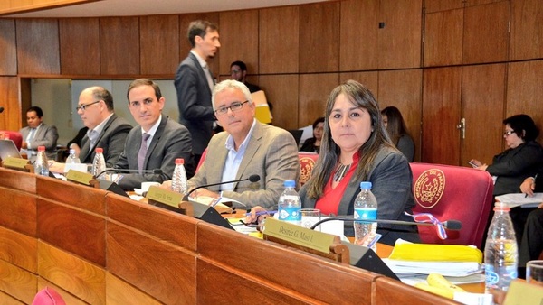 Patria Querida votará por Rossel y Bogarín para el TSJE
