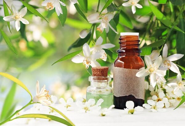 Conocé las bondades del agua de azahar para la piel