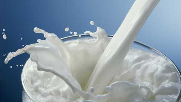 En Paraguay, un país con malnutrición severa el consumo de leche es prioridad - El Independiente