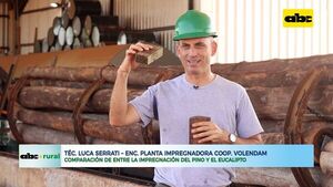 Comparación de entre la impregnación del pino y el eucalipto - ABC Rural - ABC Color
