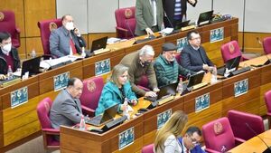 Senado elige a César Rossel y Jorge Bogarín como nuevos ministros del TSJE