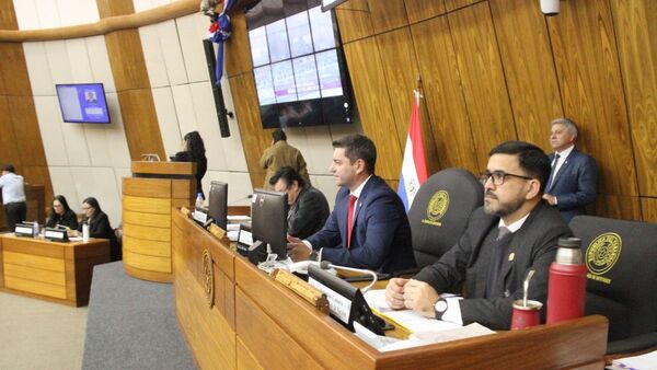 Diputados nuevamente postergan estudio del proyecto de ley sobre conflicto de intereses