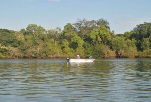 Pescadores deben regularizar licencias - Nacionales - ABC Color