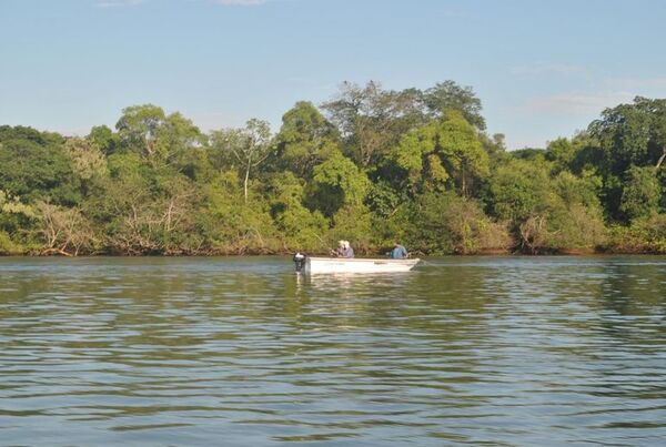 Pescadores deben regularizar licencias - Nacionales - ABC Color