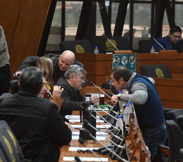 Diputados aprueba ley que obliga a Cancillería a rendir cuentas cada seis meses al Congreso - Política - ABC Color