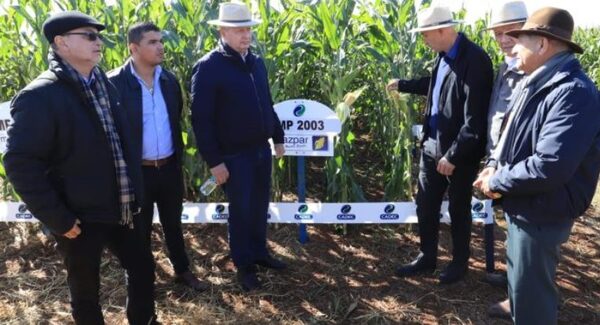 CADEC presentó nuevas variedades de semillas de maíz mejoradas genéticamente a productores del Alto Paraná