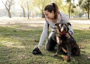 Coprofagia: ¿Por qué mi perro come sus heces? - Mascotas - ABC Color