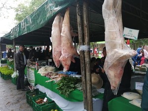Productores realizan nueva feria agropecuaria en San Lorenzo