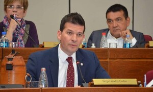 Denuncias contra Cartes son por problemas internos de la ANR, dice senador - ADN Digital
