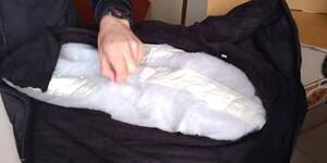 Diario HOY | Una pareja fue condenada por intentar enviar cocaína a Francia
