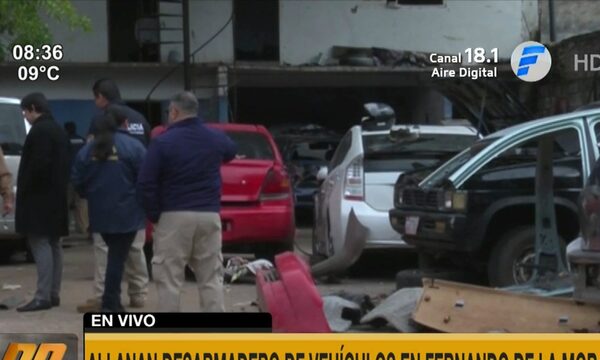 Allanan taller que funcionaba como desarmadero de autos robados | Telefuturo