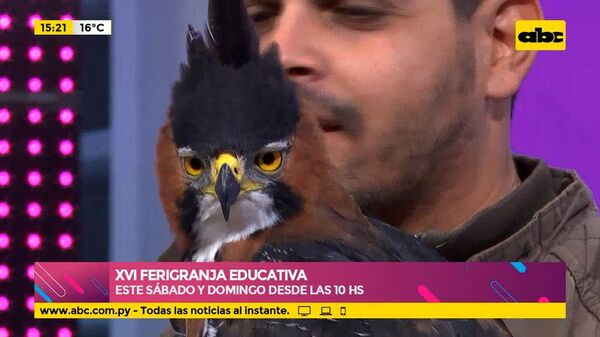 XVI Ferigranja educativa: Este sábado y domingo desde las 10 hs en la Aso de Médicos Veterinarios - Ensiestados - ABC Color