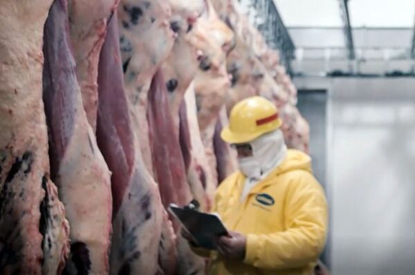 Ejecutivo promulga ley que prohíbe el uso de la palabra “carne” - Política - ABC Color