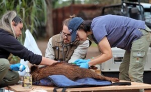 Expertos del Smithsonian dictaron talleres en el Centro Ambiental