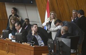 Depende de Alliana poner en marcha la Comisión Bicameral de Investigación sobre lavado de dinero - Política - ABC Color