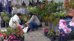 Arte Floral, un desafío hecho competencia